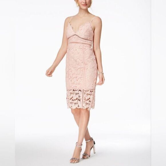 Bardot Botanica Lace Cutout‎ Midi Dress Floral Lace Sheath Blush Pink 6 Cocktail - Picture 1 of 9
